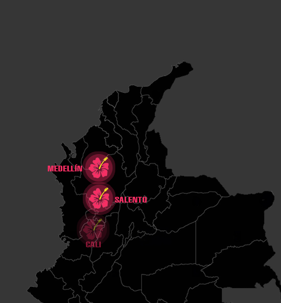 Dia 5: SALENTO - JERICÓ - MEDELLÍN